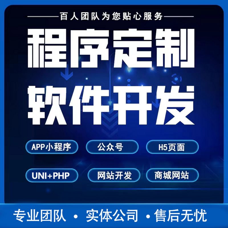 系统定制：构建企业核心竞争力的力量